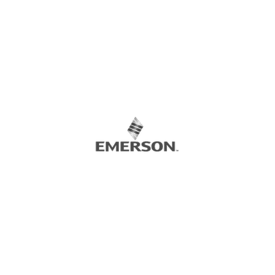 Emerson-P-AgileOps Master Control System Database